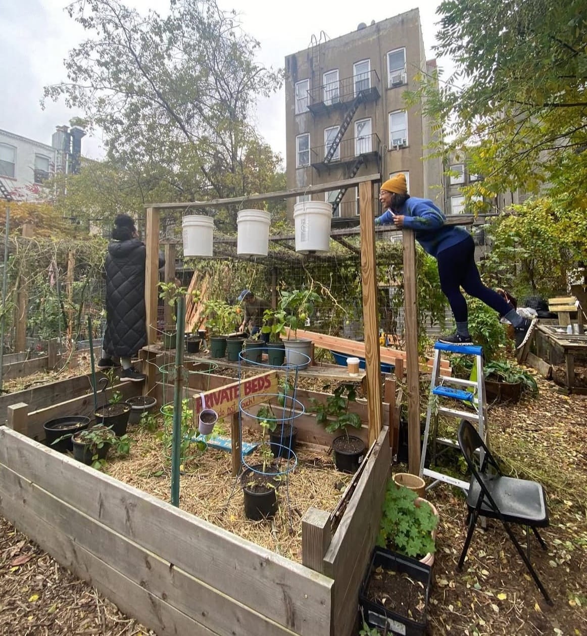 Get off the Internet: Why joining a community garden might fix your brain, image size:1162x1259