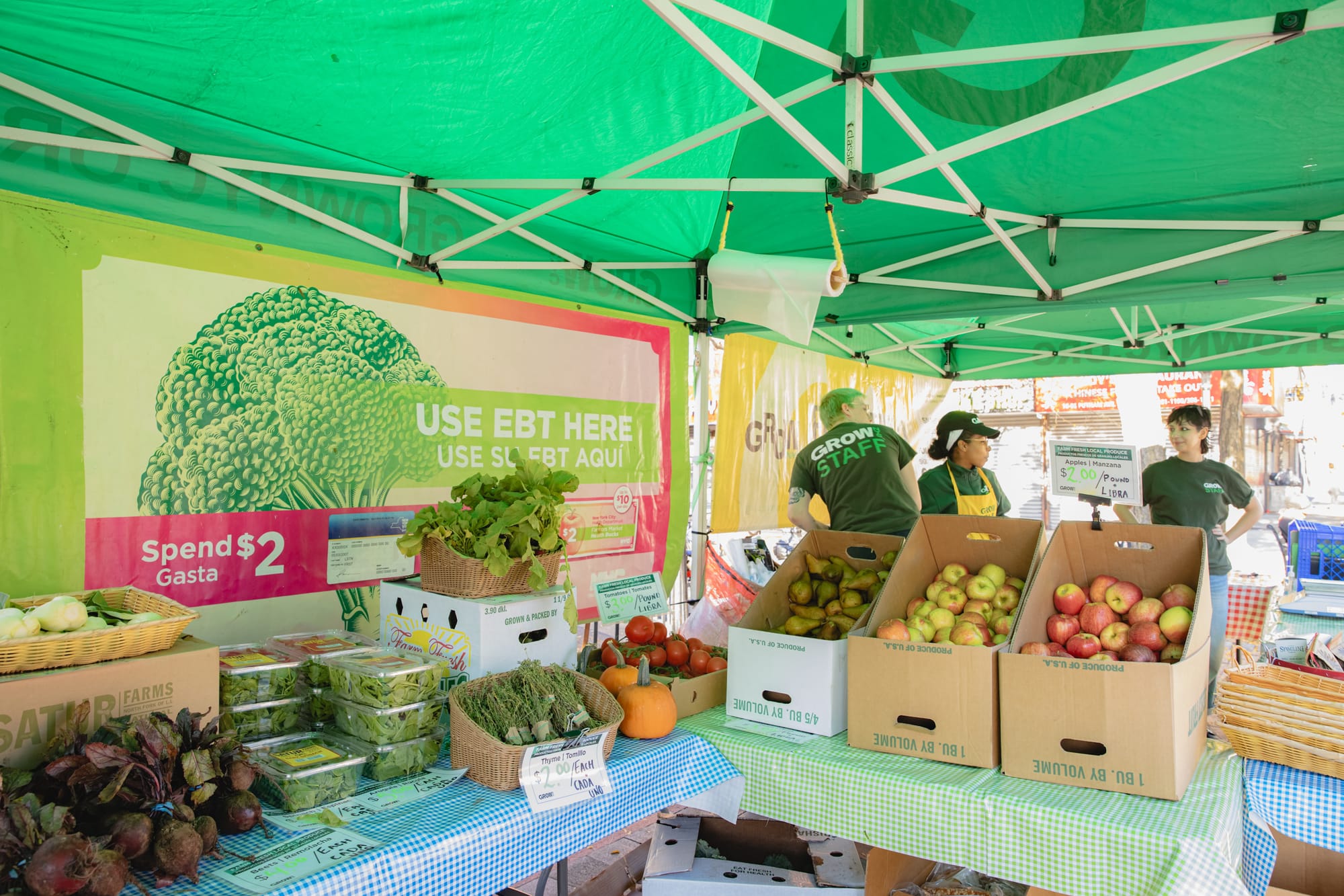 GrowNYC is shrinking and needs your help