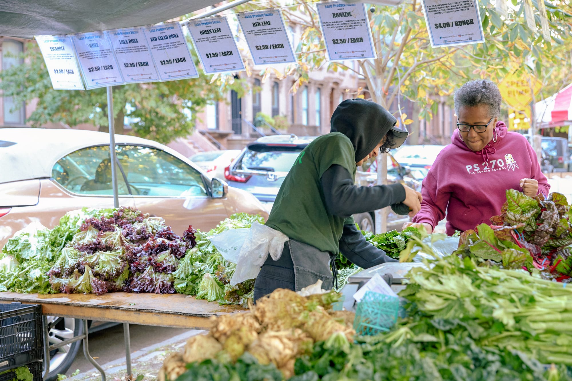 GrowNYC is shrinking and needs your help