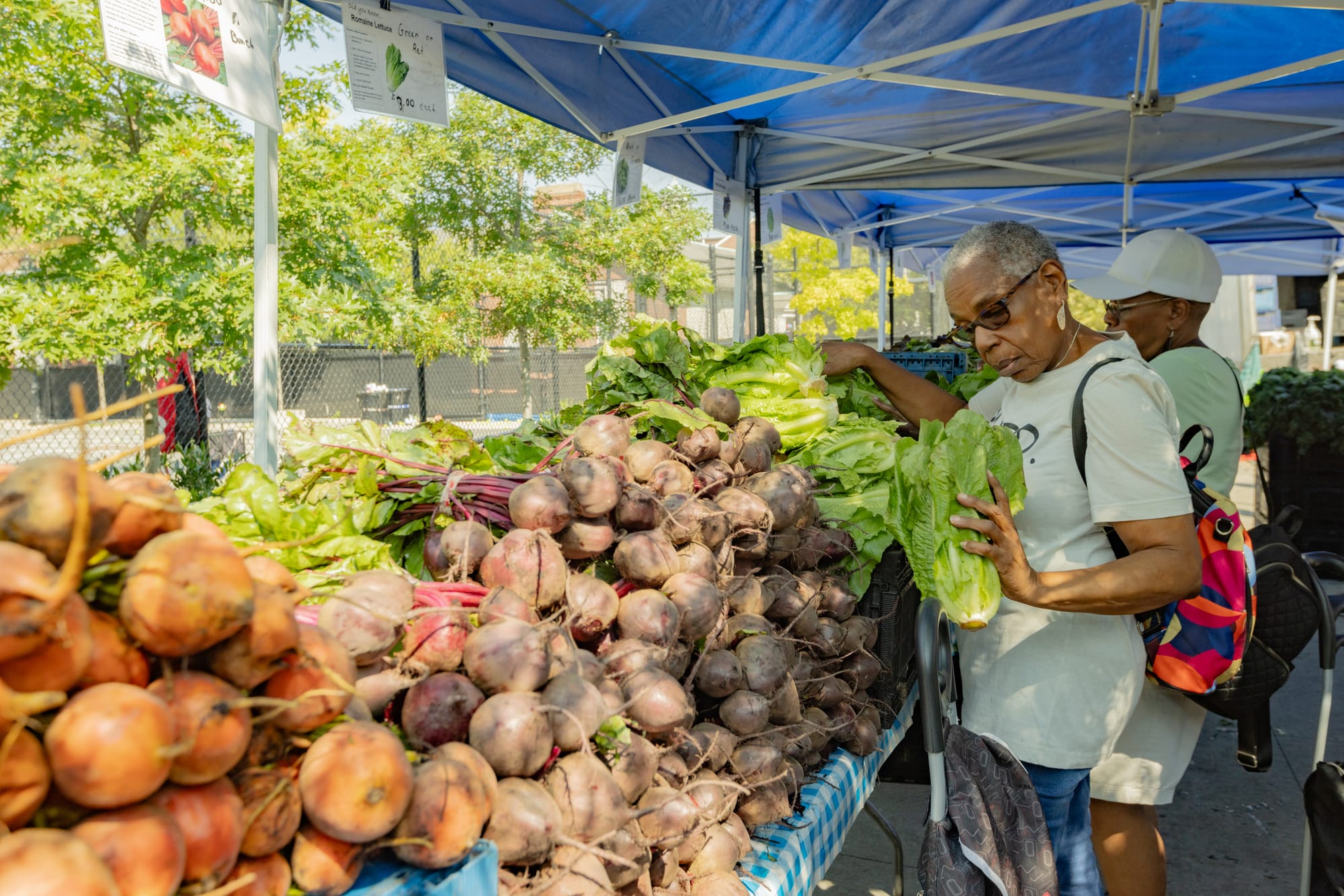 GrowNYC is shrinking and needs your help