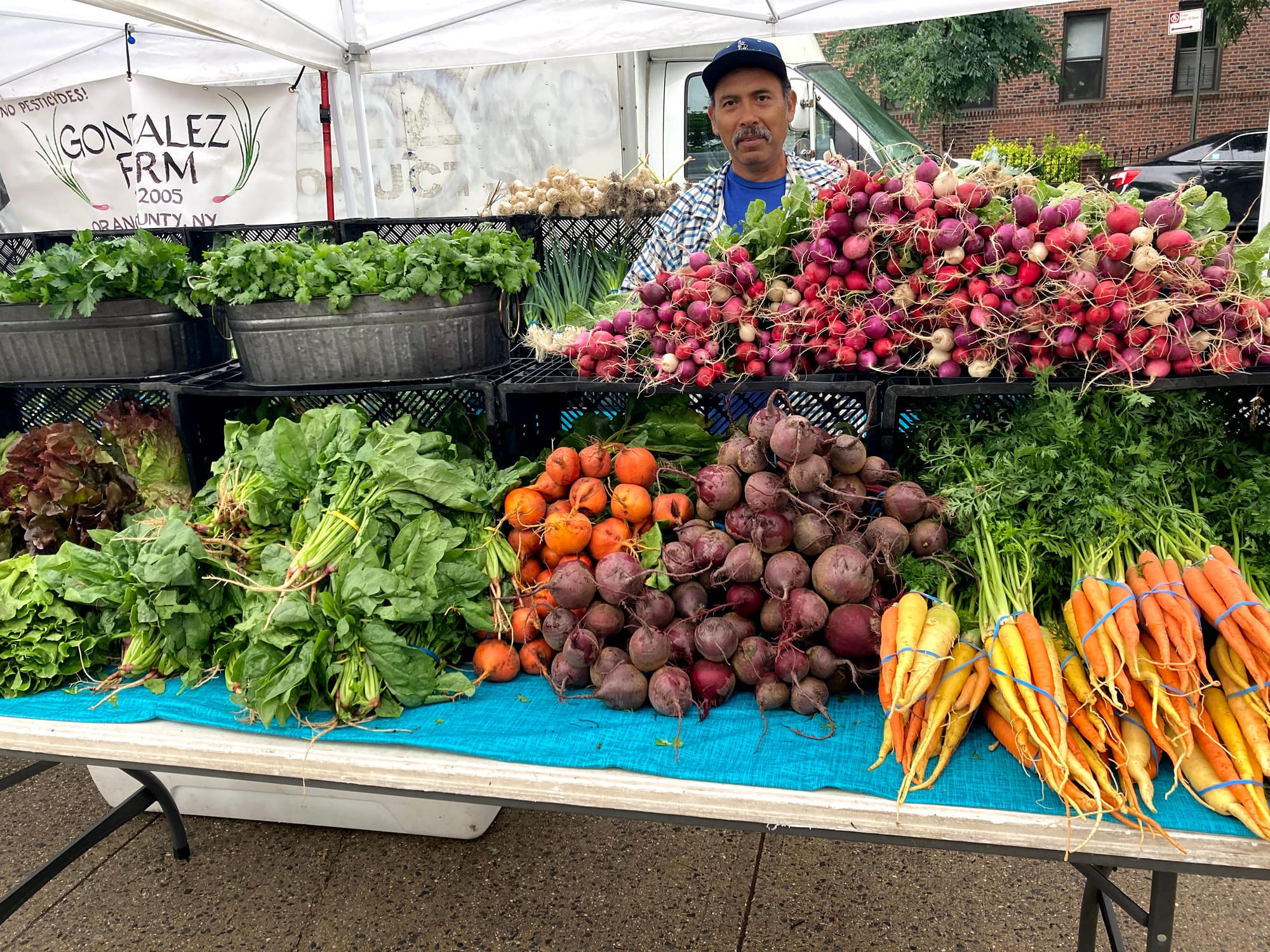 GrowNYC is shrinking and needs your help