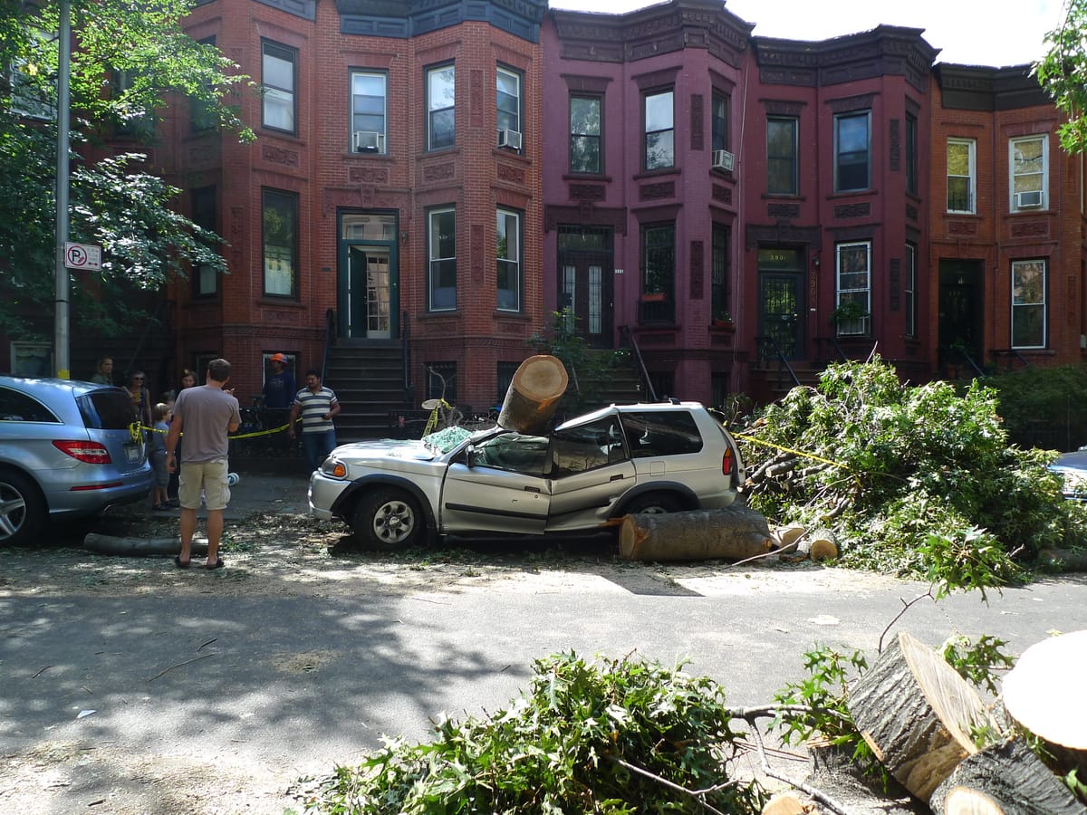 What to do if a tornado hits New York City