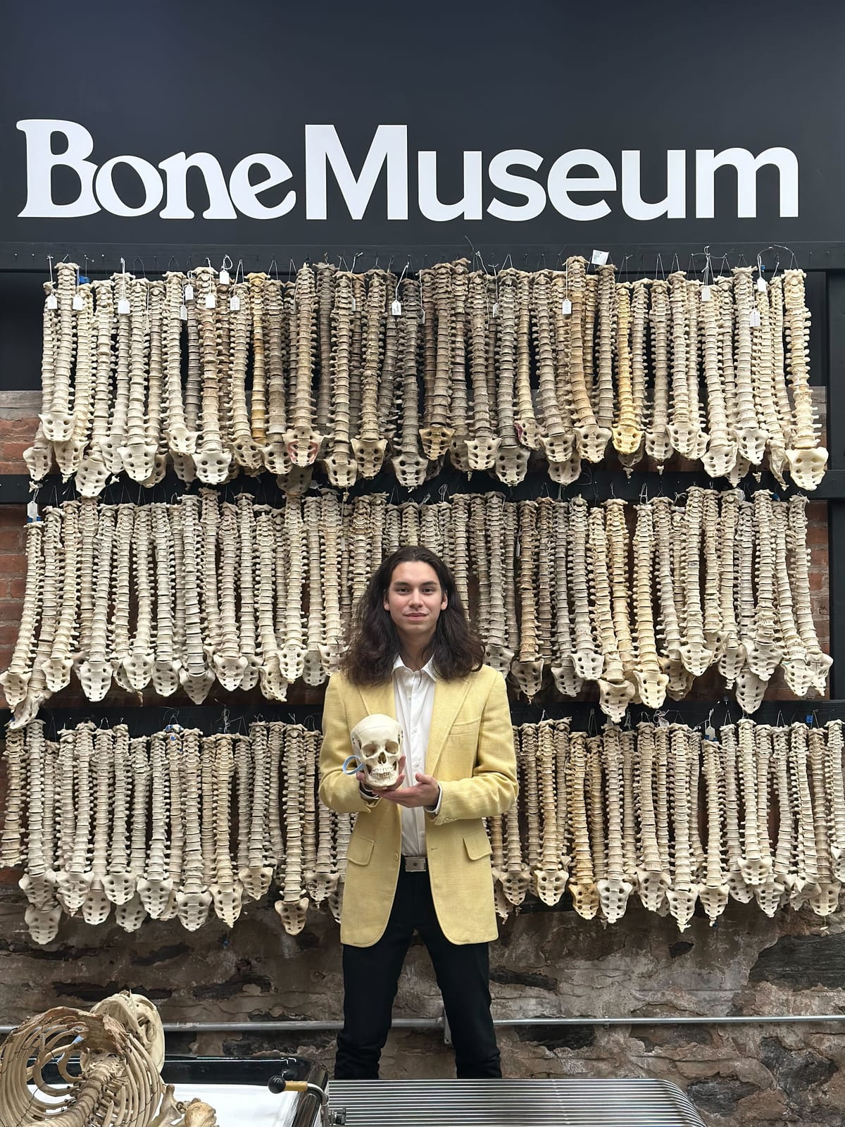 Skeletons are not so spooky scary at Brooklyn's Bone Museum