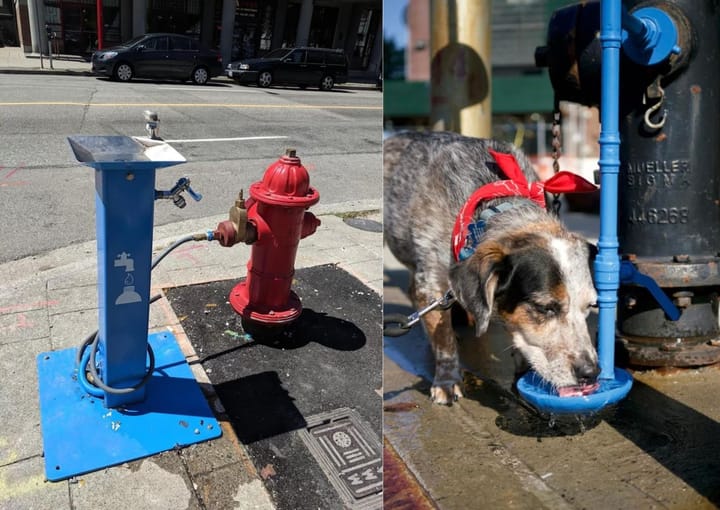 Will fire hydrants become official city water fountains?