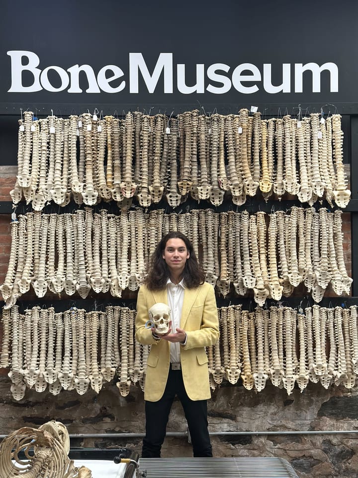 Skeletons are not so spooky scary at Brooklyn's Bone Museum