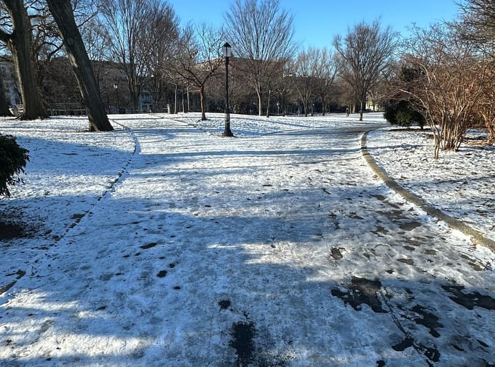 Who's supposed to clear ice from city parks?