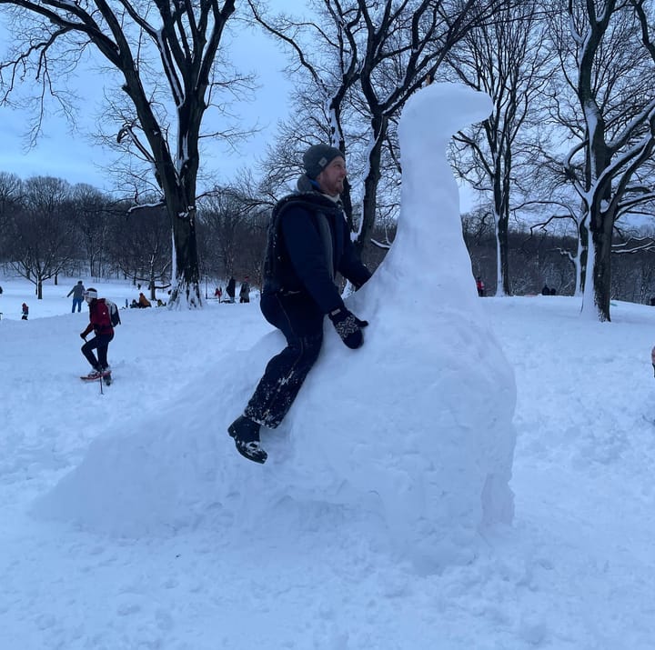 An art review of 8 snowfolk ⛄️+ $10 tickets to NYG Live! 🎤